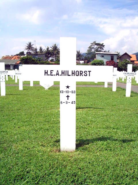 hilhorst.h.e.a.2005.jpg