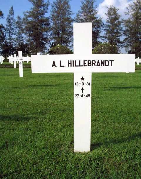 hillebrandt a.l.2004.jpg