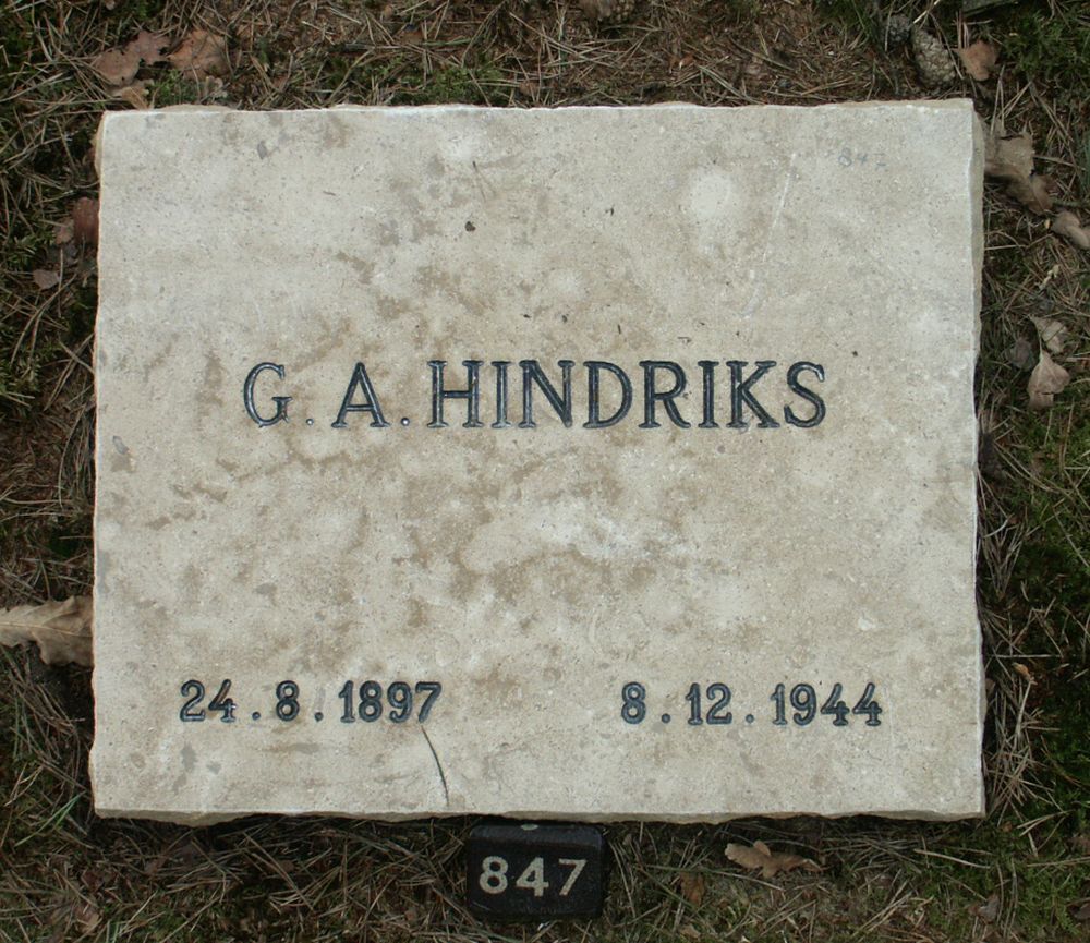 hindriks.g.a.2006.jpg