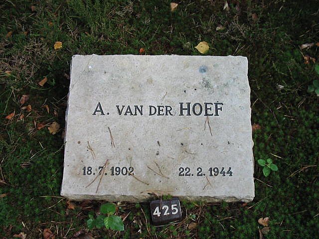 064394.jpg