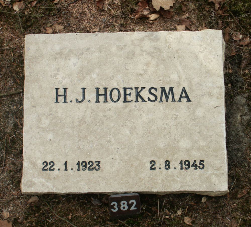 hoeksma.h.j.2006.jpg