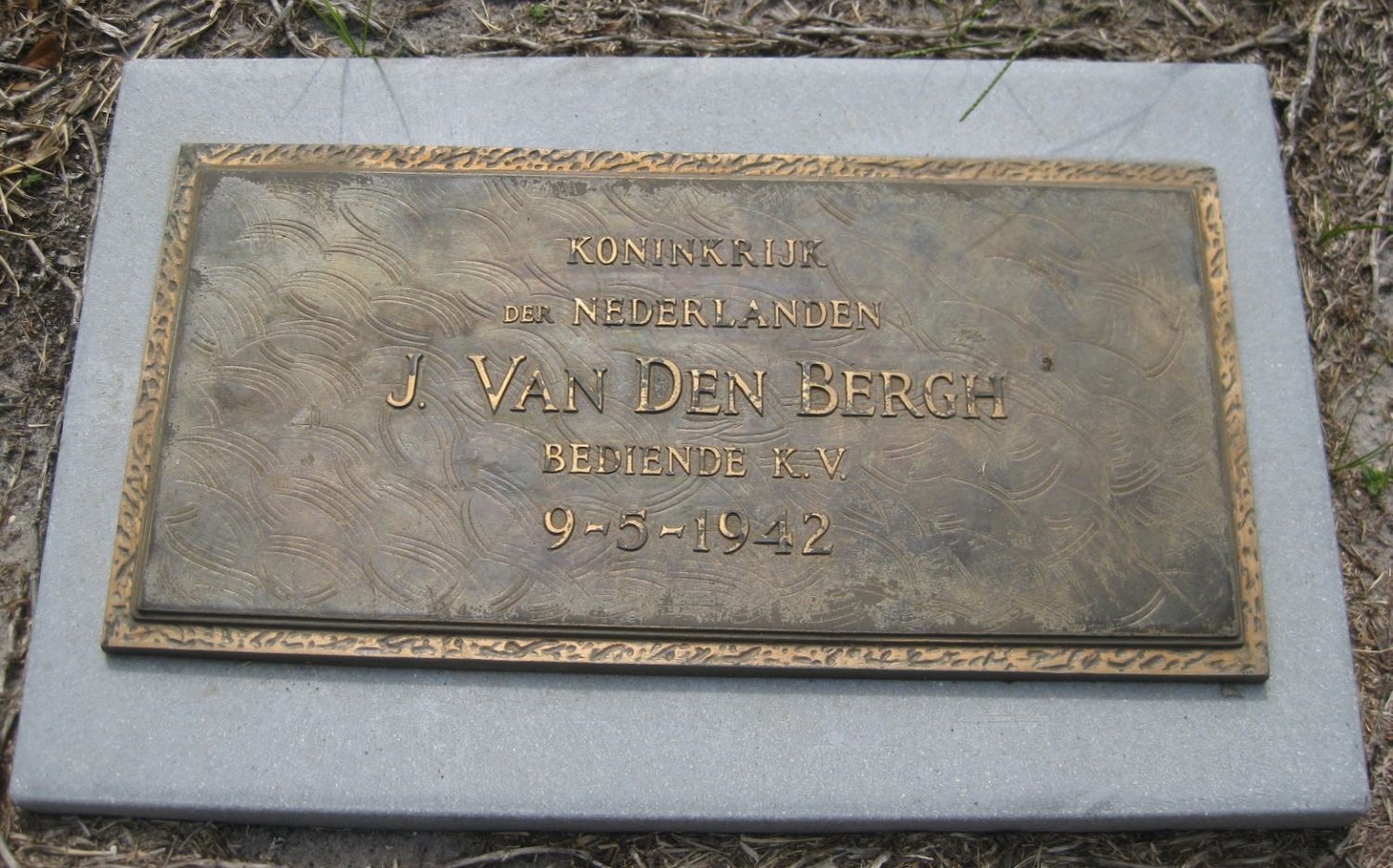 bergh.j.van.den.2010.jpg