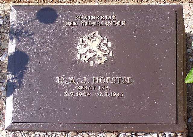 hofstee.h.a.j.2006.jpg