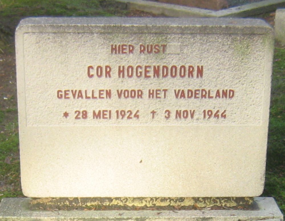hogendoorn.jpg