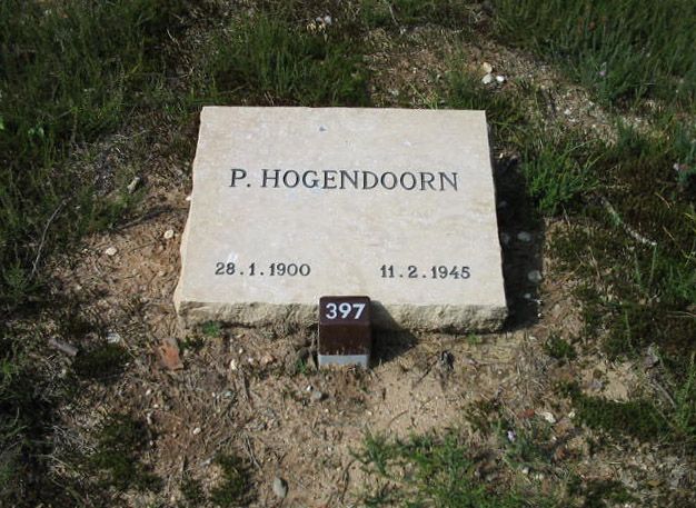 P.Hogendoorn(2).jpg