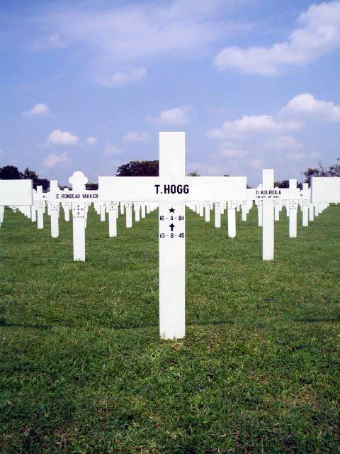 hogg.t.2005.jpg
