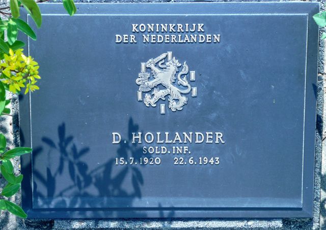 Hollander.D.2008.jpg