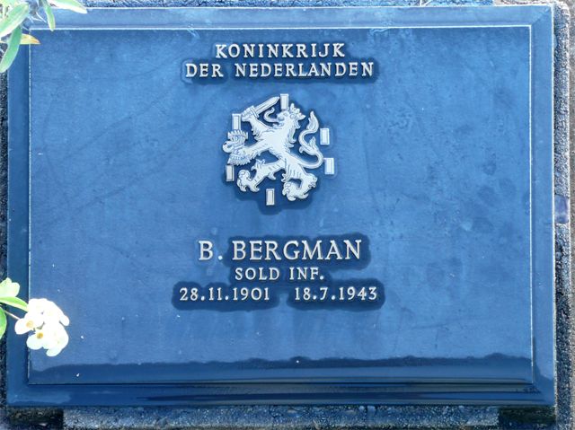 Bergman.B.2008.jpg