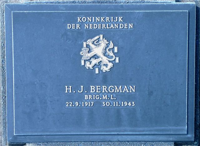 Bergman.H.J.2008.jpg