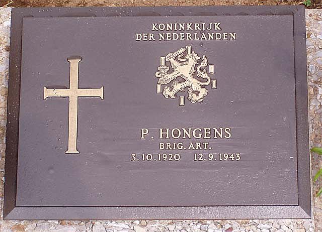 hongens.p.2006.jpg