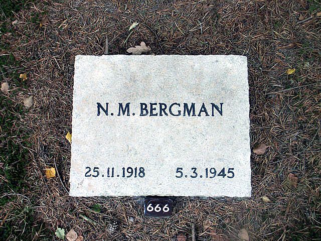 bergman.n.m.2005.jpg