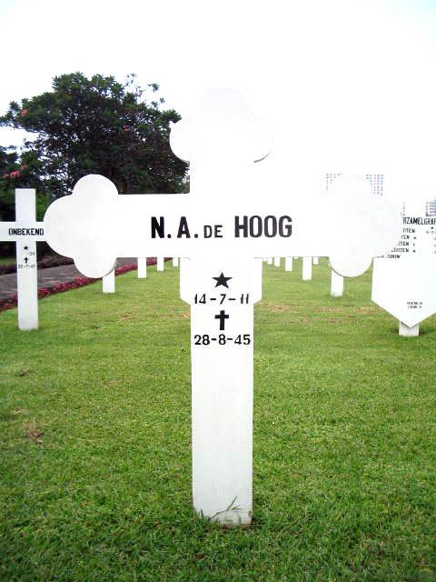 hoog.de.n.a.2005.jpg