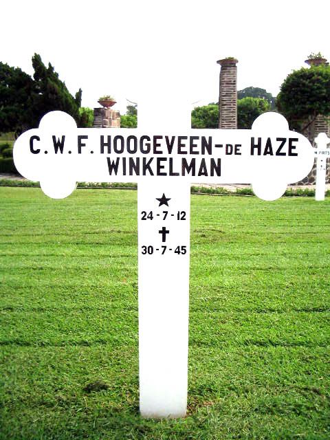 hoogeveen de haze winkelman.c.w.f.2004.JPG