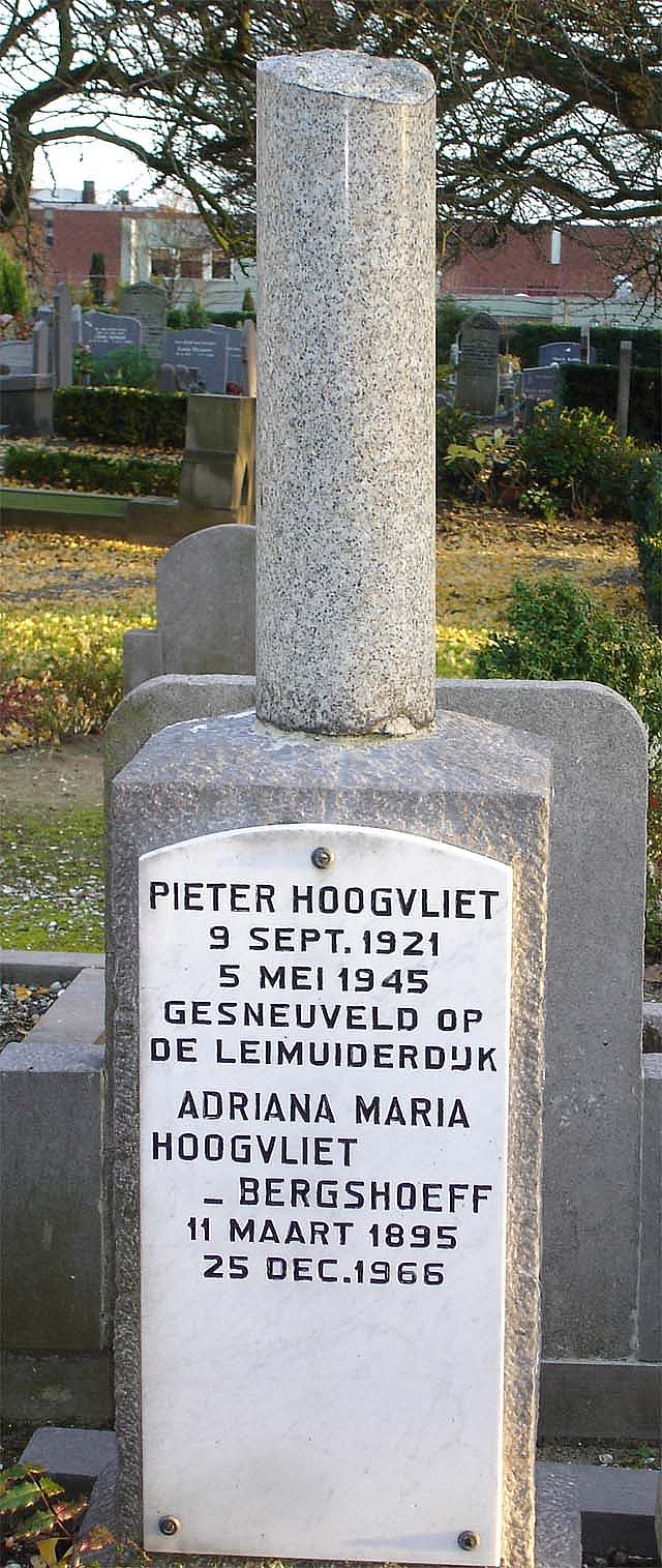 hoogvliet.p.2007.jpg