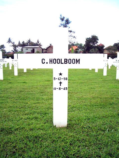 hoolboom.c.2005.jpg