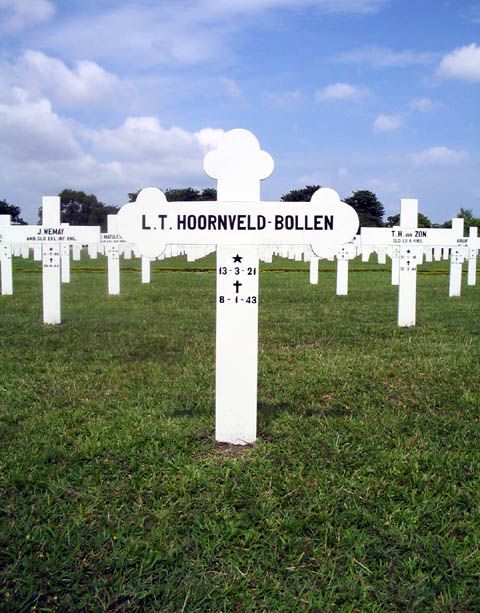 hoornveld bollen.l.t.2005.jpg
