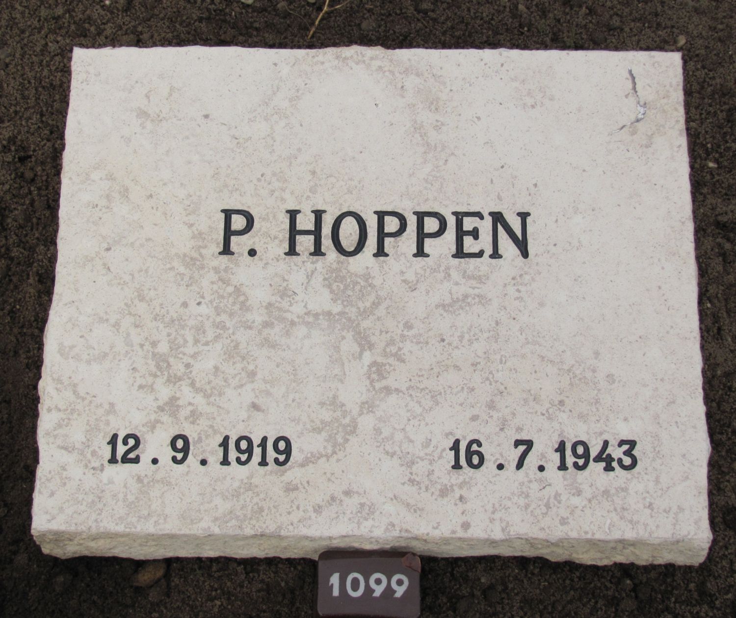 hoppen.p.2010.jpg