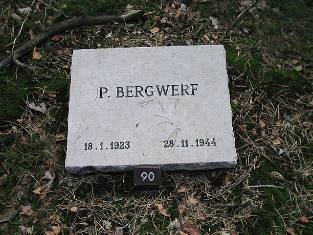 P.Begwerf.jpg