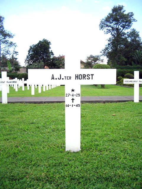 horst.ter.a.j.2005.jpg