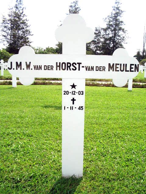 horst.v.der.meulen.v.der.j.m.w.2004.jpg