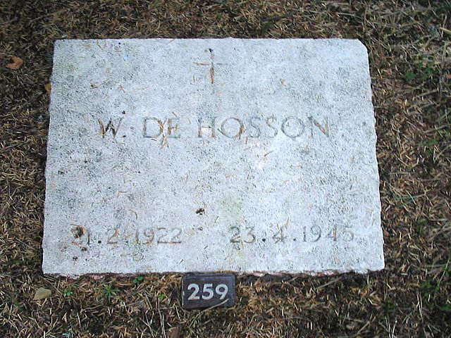W.d.Hosson.jpg