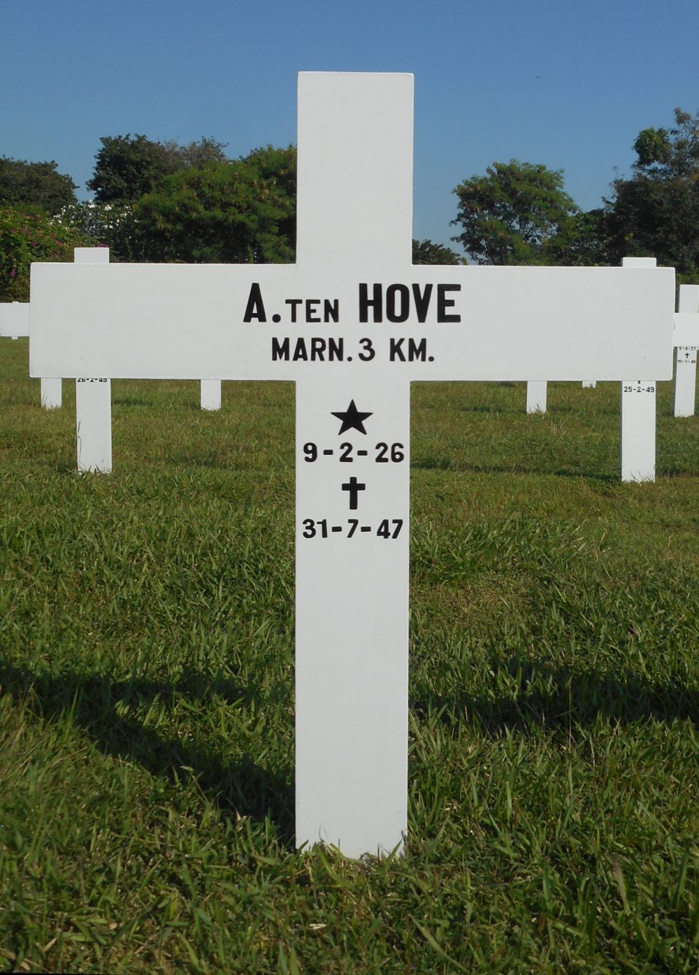 hove.a.ten.2017.jpg