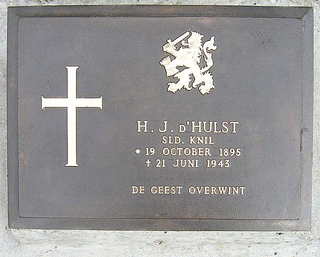 Hulst.H.J.d.2007.jpg