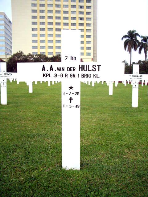 hulst.v.der.a.a.2005.jpg