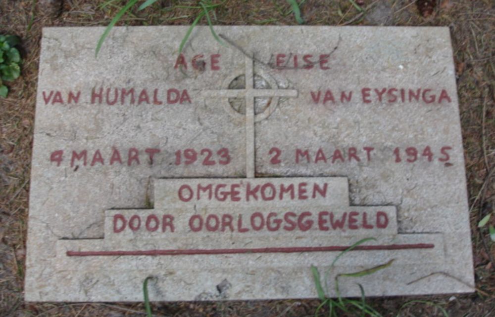 humaldavaneijsinga.a.e.van.2009.jpg
