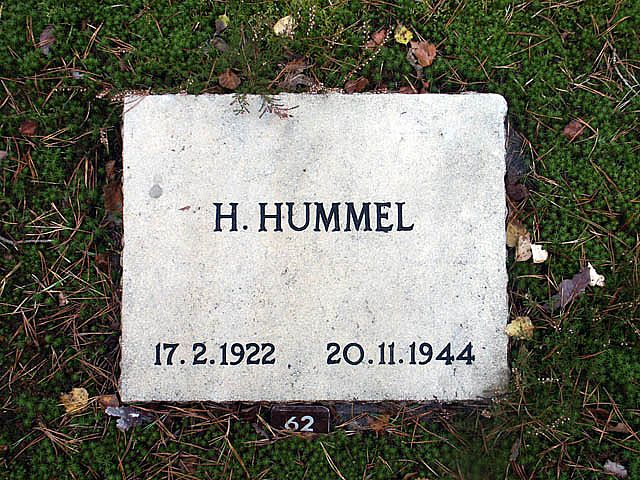 hummel.h.2005.jpg