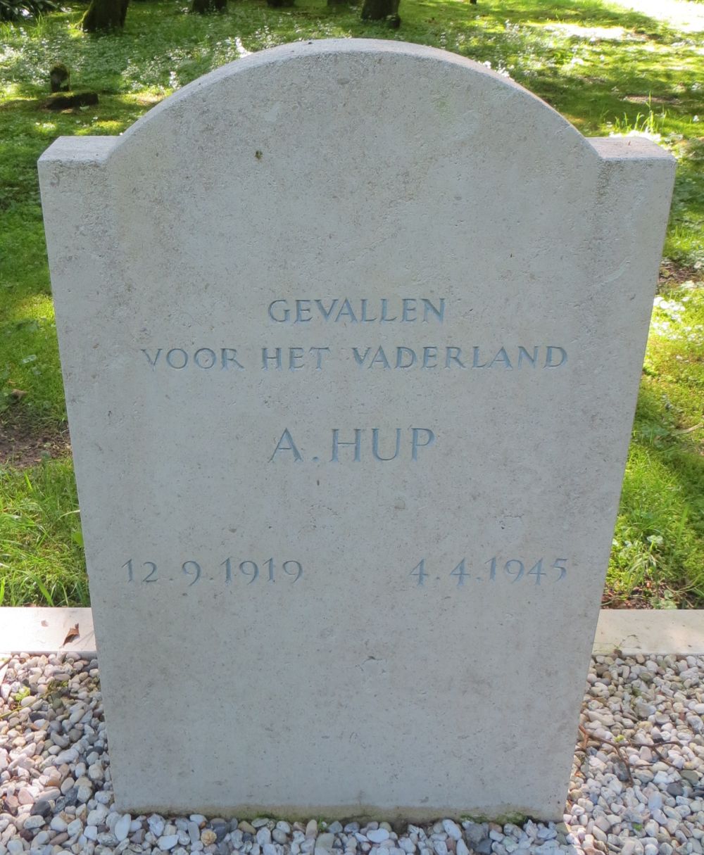 hup.a..jpg