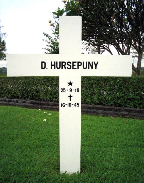 husepuny.d.2004.jpg