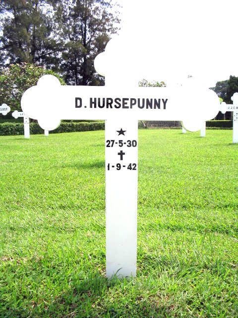 hursepunny.d.2005.jpg
