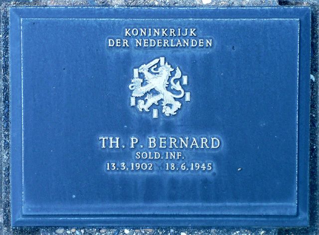Bernard.T.P.2008.jpg