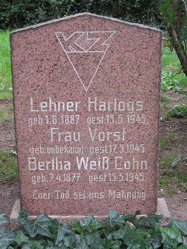 immerdauer-hartogs.l.2007.jpg