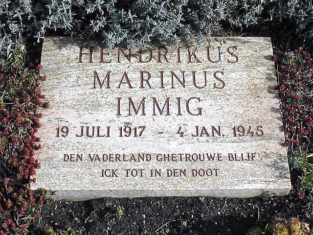 immig.h.m.2004.jpg