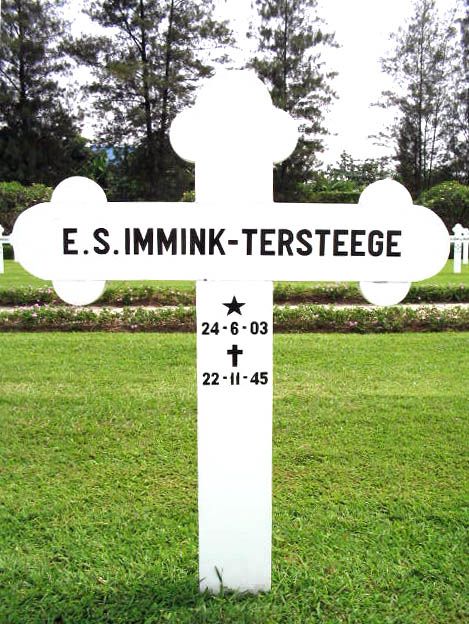 immink tersteege.e.s.2004.jpg
