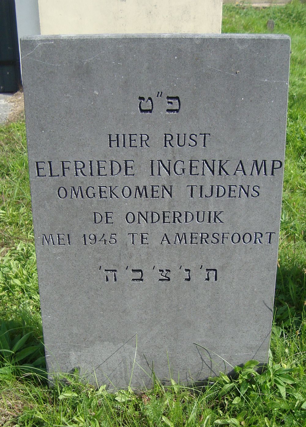ingenkamp.e.2010.jpg