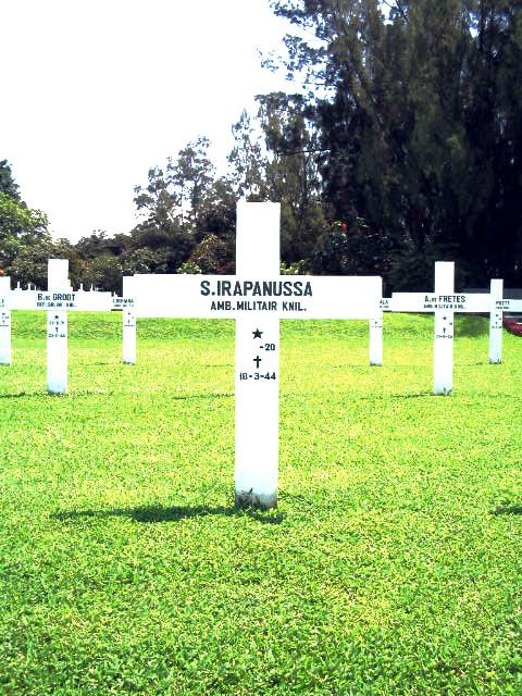 irapanussa.s.2005.jpg