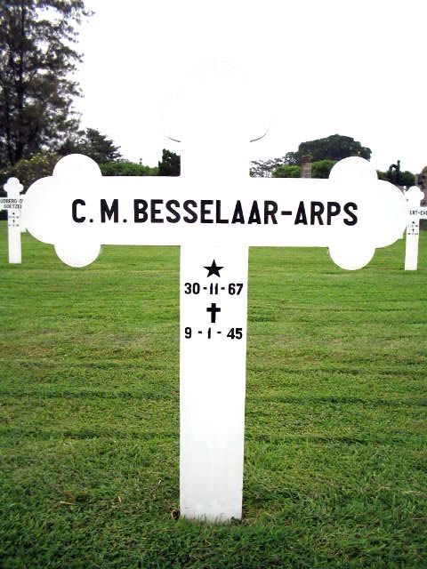 besselaar arps.c.m.2004.jpg