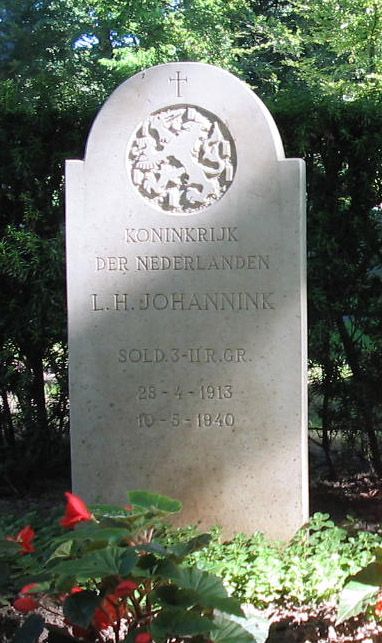 L.H.Johannink.jpg