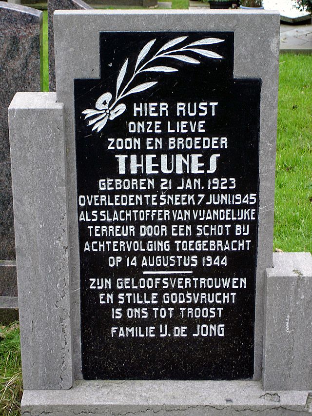 jong.t.de.jpg