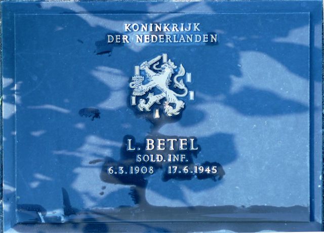 Betel.L.2008.jpg