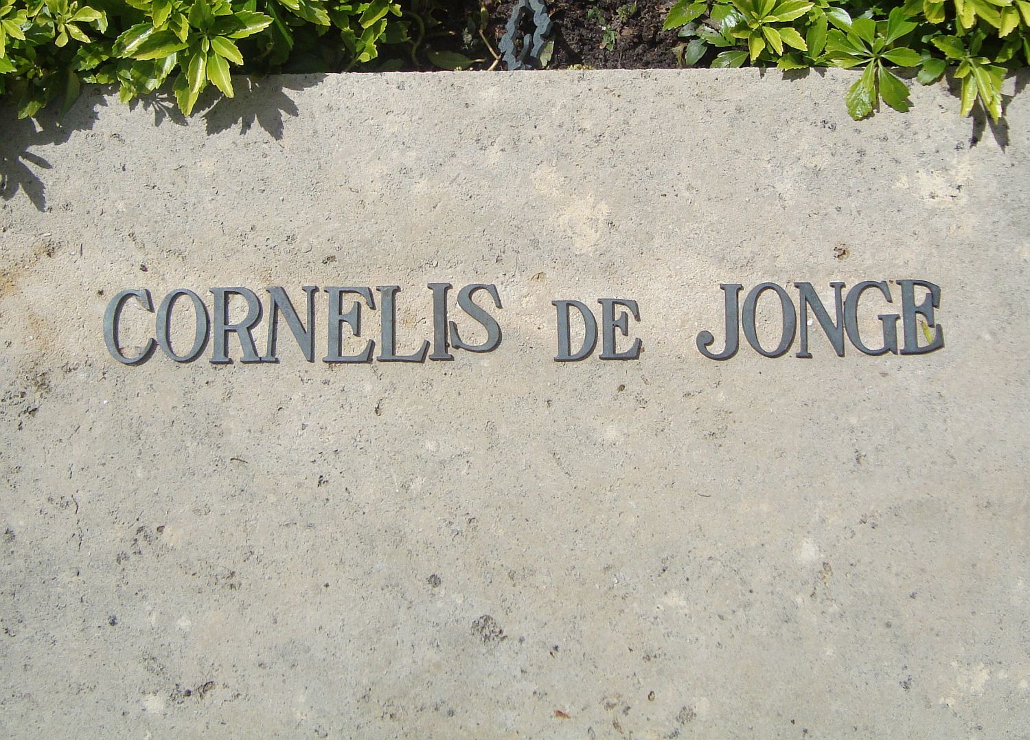 jonge.c.de..jpg