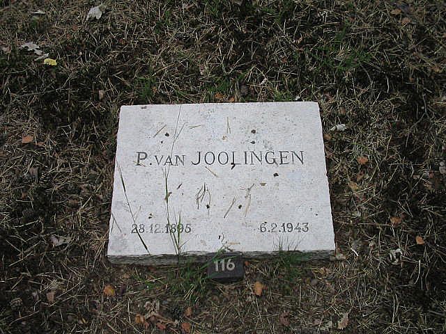 P.v.Joolingen.jpg