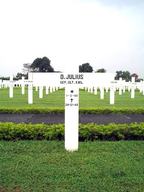 julius.d.2005.jpg