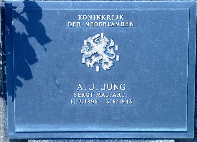 Jung.A.J.2008(1).jpg