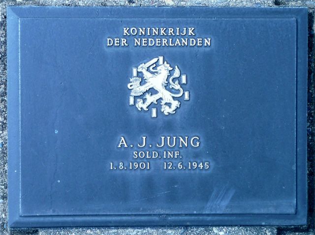 Jung.A.J.2008.jpg