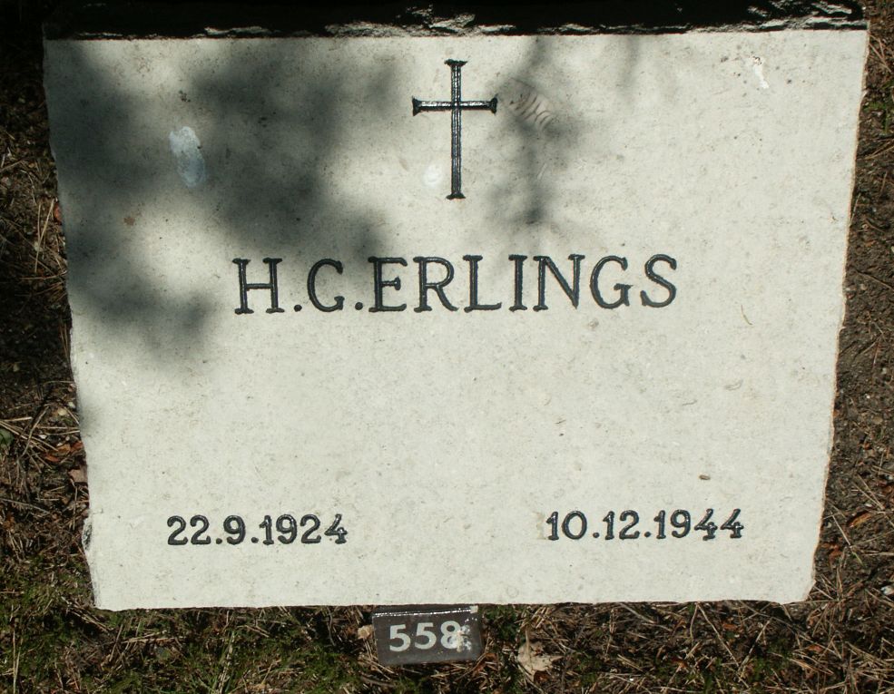 erlings.h.c.jpg