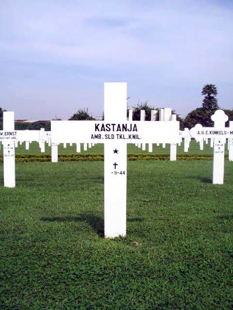 kastanja.2005.jpg